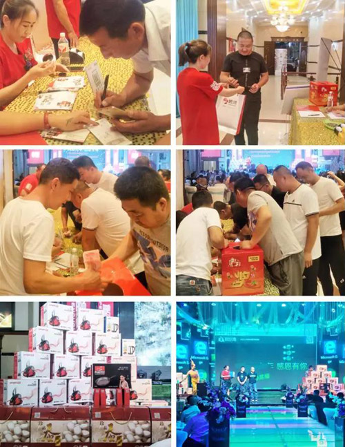 bevictor伟德板材土右旗店活动现场