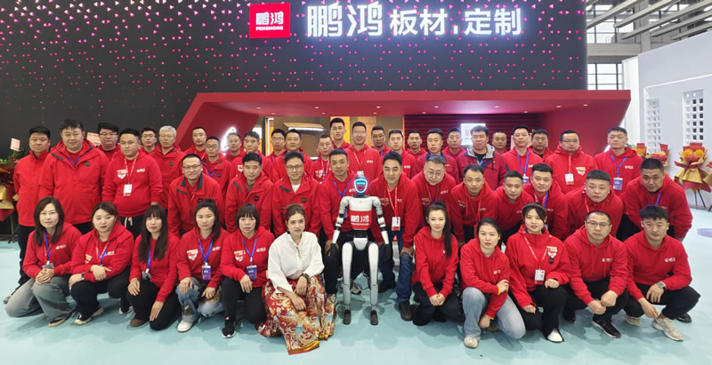 bevictor伟德沈阳家博会载誉收官，，，，，，，万千瞩目誊写传奇